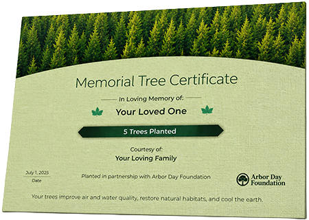 Plant Trees in Memory of Robert L. 